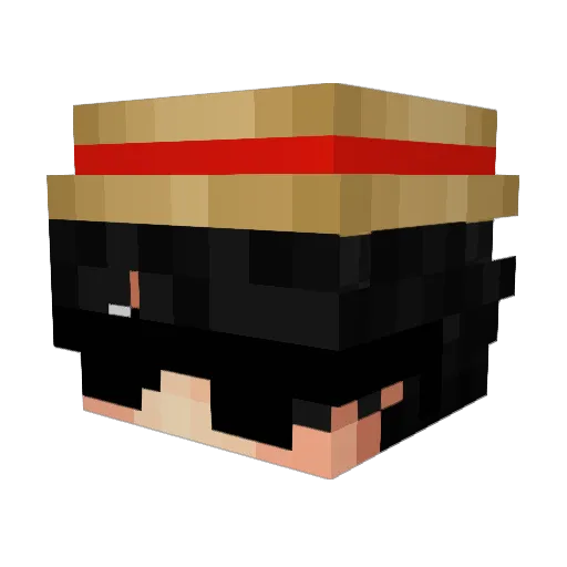 Ronesterr Minecraft avatar head, 3D render