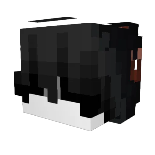 Roneygiron Minecraft avatar head, 3D render