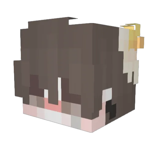 Rong0125 Minecraft avatar head, 3D render