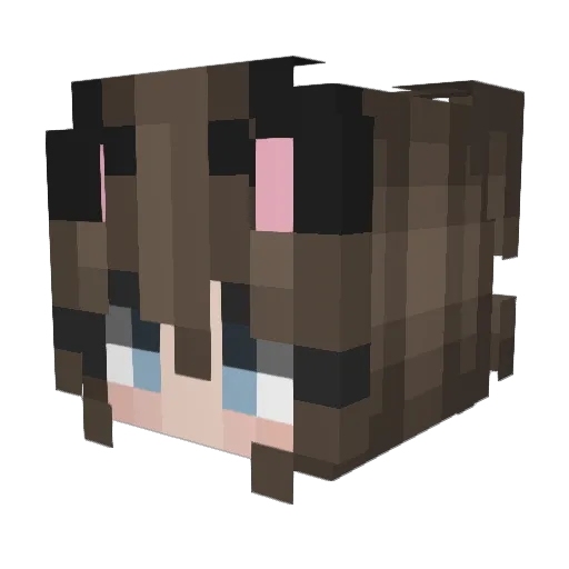 Rong0612 Minecraft avatar head, 3D render
