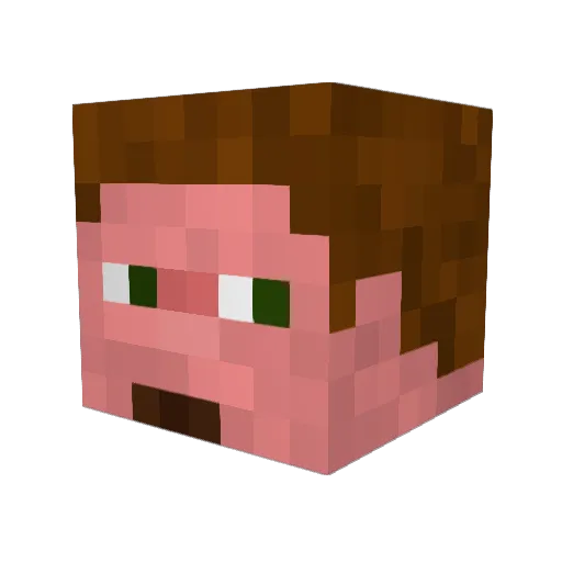 Rong9414 Minecraft avatar head, 3D render