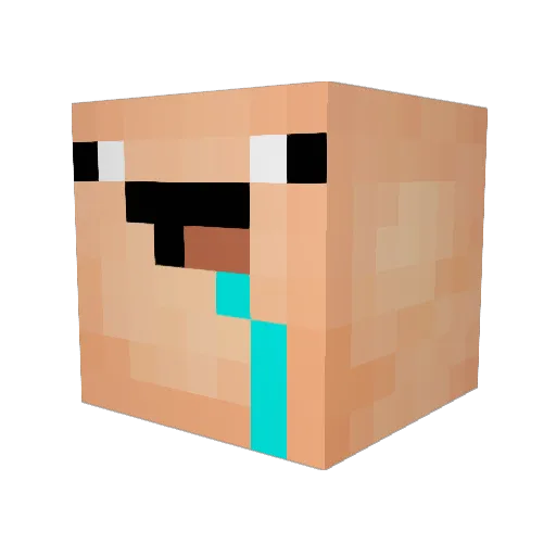 Rong_BOO Minecraft avatar head, 3D render
