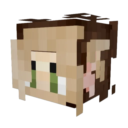 RoniWeroni Minecraft avatar head, 3D render