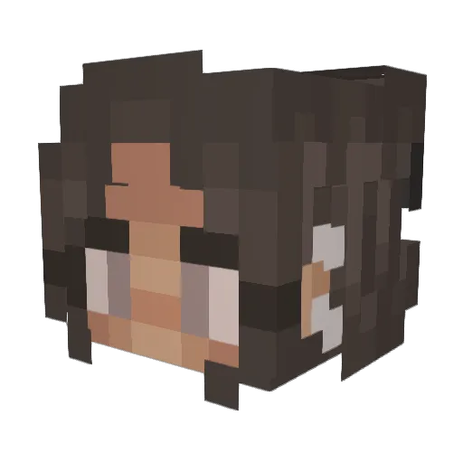 Roni_2001 Minecraft avatar head, 3D render