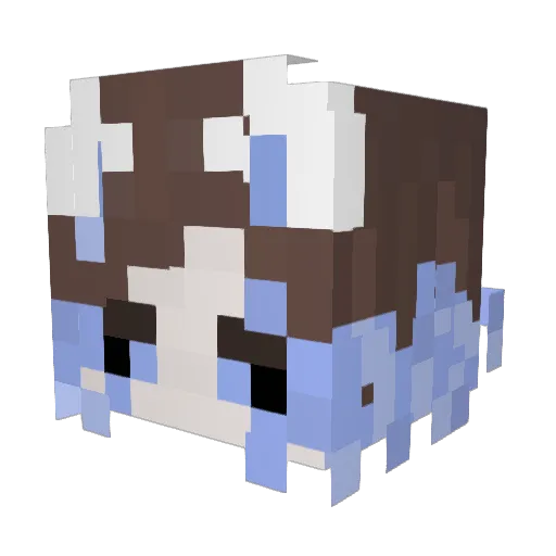Roni_Kar Minecraft avatar head, 3D render