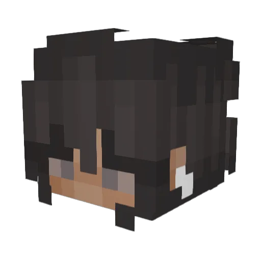RoniiTBE Minecraft avatar head, 3D render