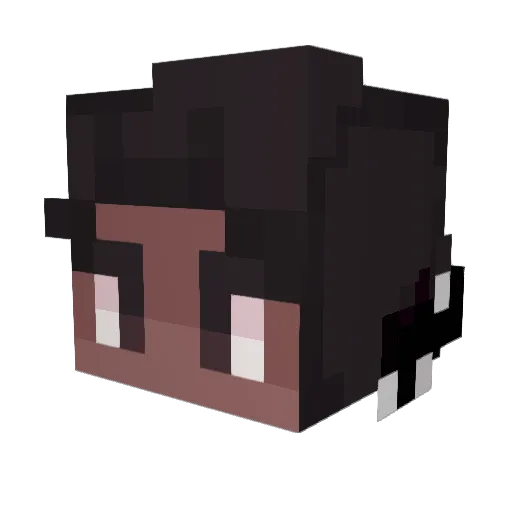 Ronin06_ Minecraft avatar head, 3D render