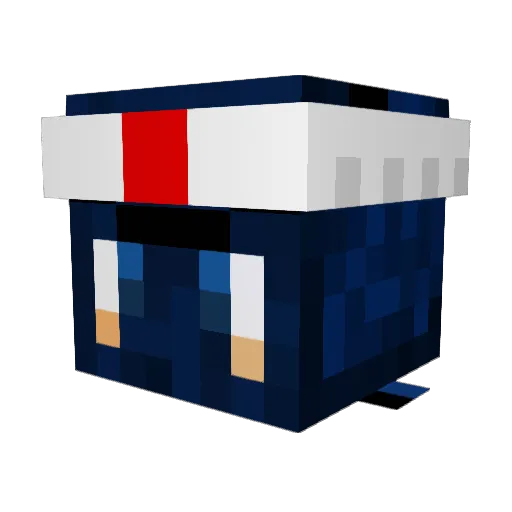 Ronin1979 Minecraft avatar head, 3D render