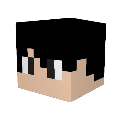 RoninAlphaAwoxer Minecraft avatar head, 3D render