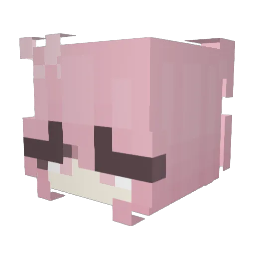 Ronja3557 Minecraft avatar head, 3D render