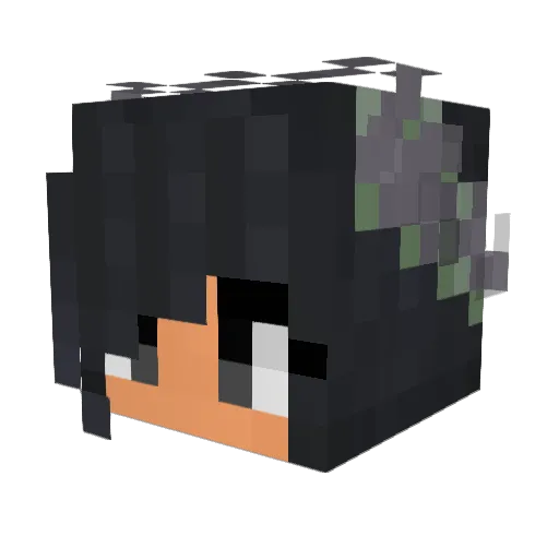 Ronlovescfa Minecraft avatar head, 3D render