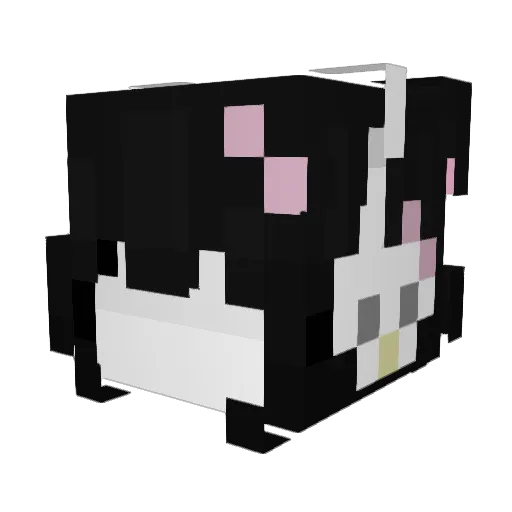 Ronnal13 Minecraft avatar head, 3D render