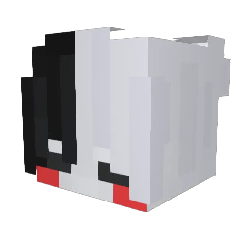 Ronnald20 Minecraft avatar head, 3D render