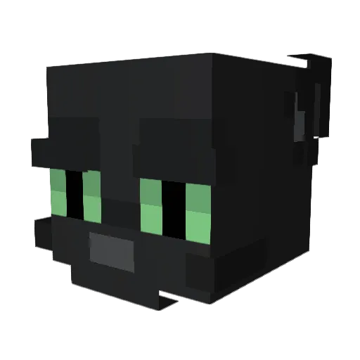 Ronncolaa Minecraft avatar head, 3D render