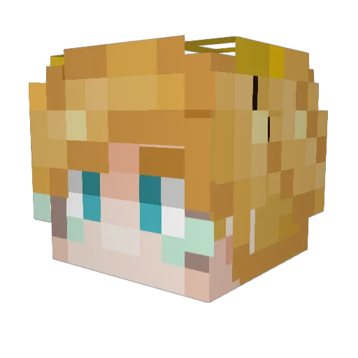 Ronneyboy Minecraft avatar head, 3D render