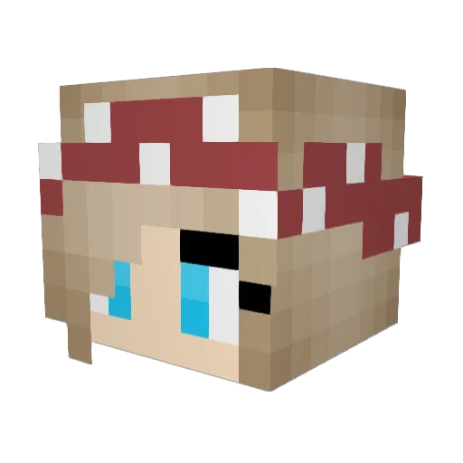 Ronni_Cakes Minecraft avatar head, 3D render