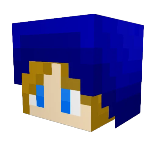 Ronnicat Minecraft avatar head, 3D render