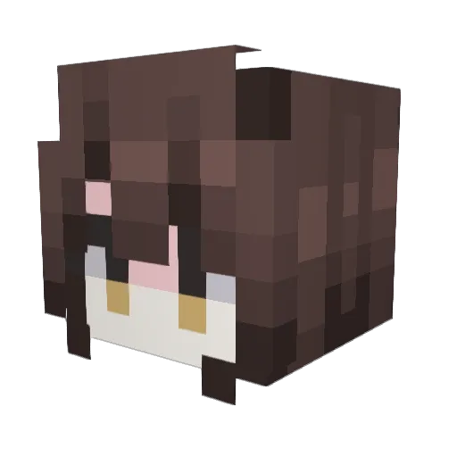 Ronnie1029 Minecraft avatar head, 3D render