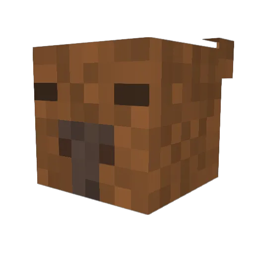 Ronnie31 Minecraft avatar head, 3D render