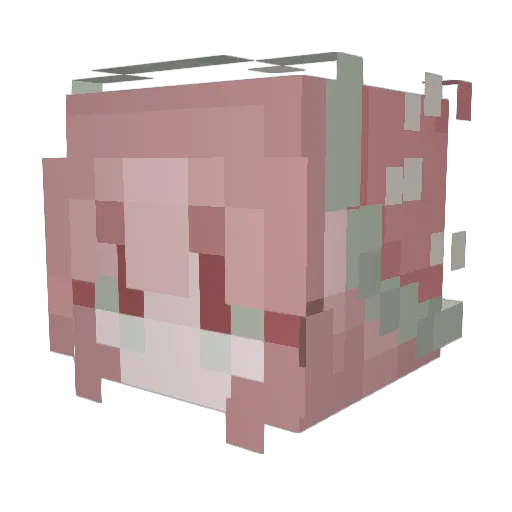 RonnieV29 Minecraft avatar head, 3D render