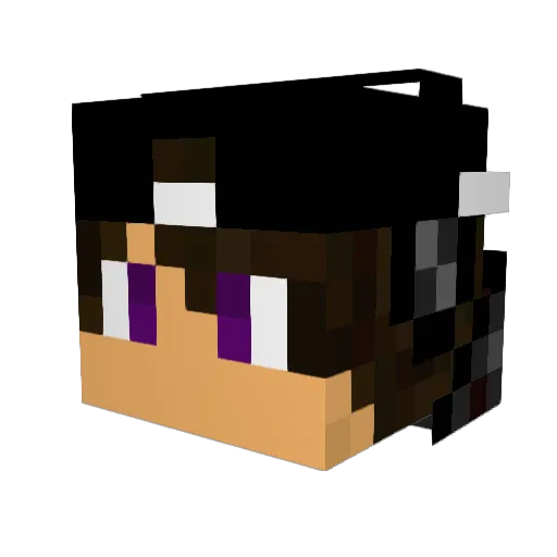 Ronnieg1 Minecraft avatar head, 3D render