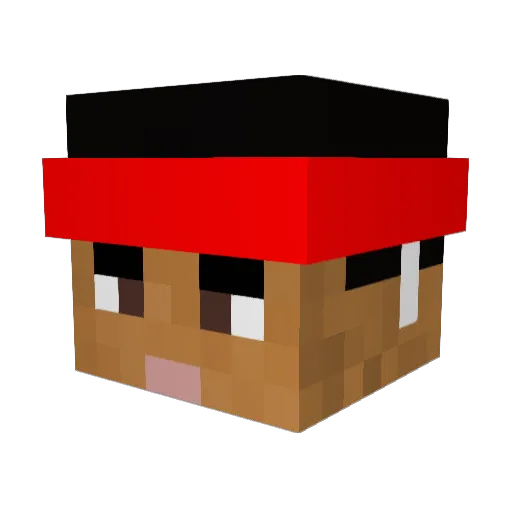 Ronniyouknow69 Minecraft avatar head, 3D render