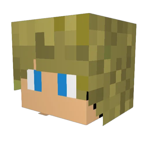 Ronnoc201 Minecraft avatar head, 3D render