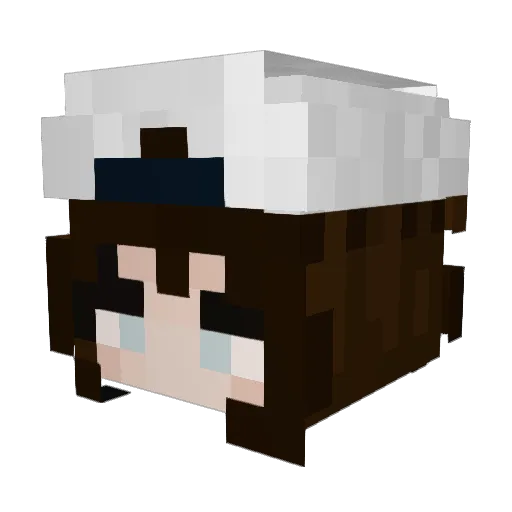 Ronnoc48 Minecraft avatar head, 3D render