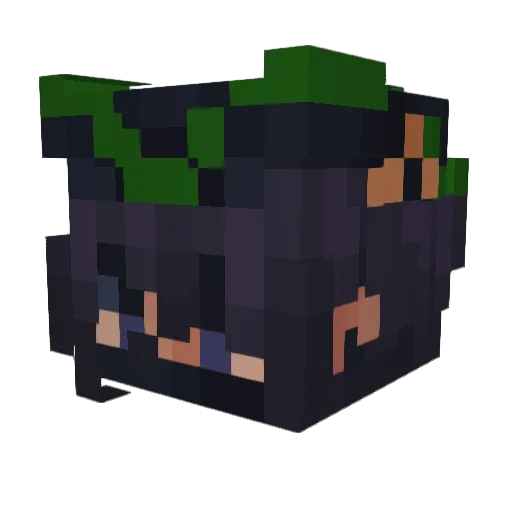 Ronny2024 Minecraft avatar head, 3D render