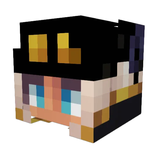 RonnyAnims Minecraft avatar head, 3D render