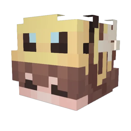 RonnySAS Minecraft avatar head, 3D render