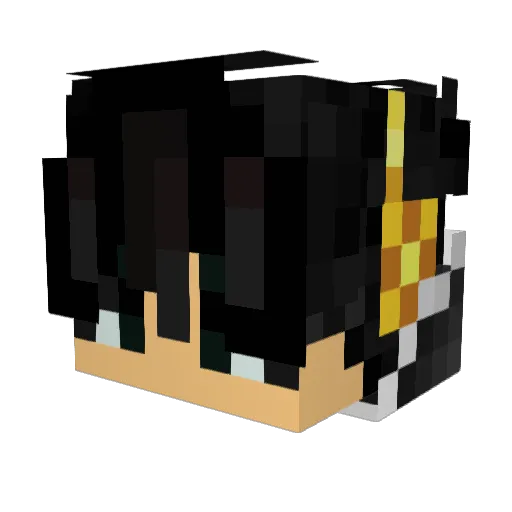 Ronnyb75 Minecraft avatar head, 3D render