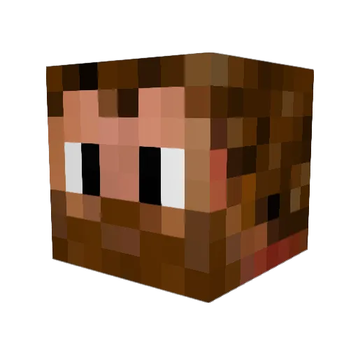 Ronoc221 Minecraft avatar head, 3D render