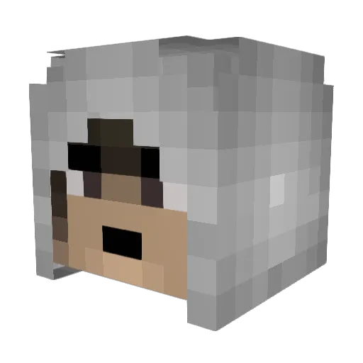 Ronoxx Minecraft avatar head, 3D render