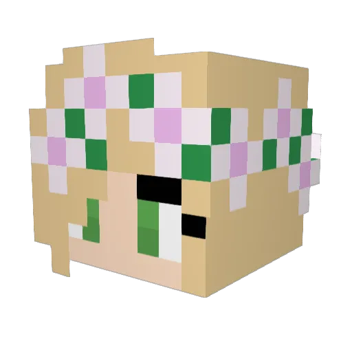 Ronrath Minecraft avatar head, 3D render