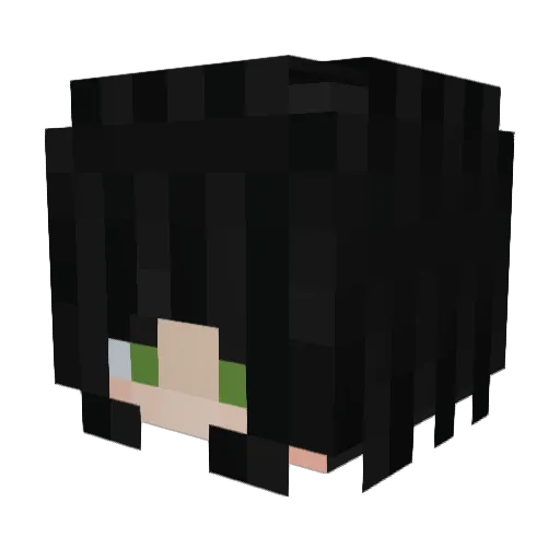 Ronyee Minecraft avatar head, 3D render