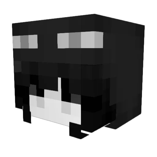 Ronys Minecraft avatar head, 3D render