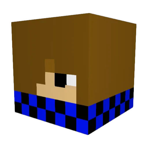 Roo360 Minecraft avatar head, 3D render