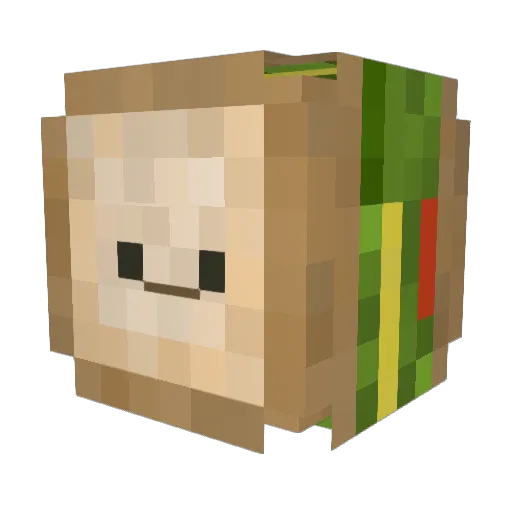Roo892 Minecraft avatar head, 3D render