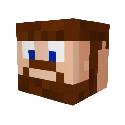 RooBaqa Minecraft avatar head, 3D render