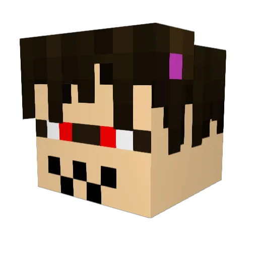 RooBeeee Minecraft avatar head, 3D render