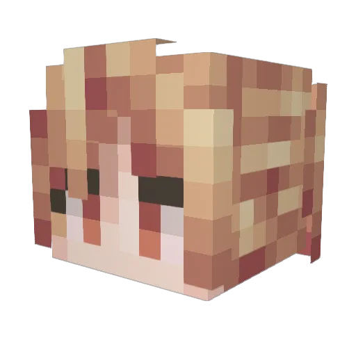 RooBie_ Minecraft avatar head, 3D render
