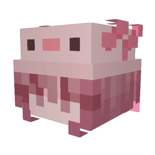 RooMcgoo Minecraft avatar head, 3D render