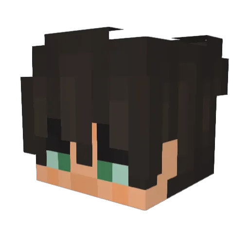 RooXMann Minecraft avatar head, 3D render