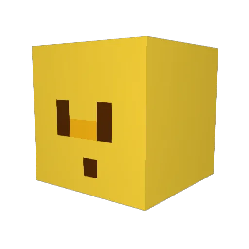 Roo_ffective Minecraft avatar head, 3D render