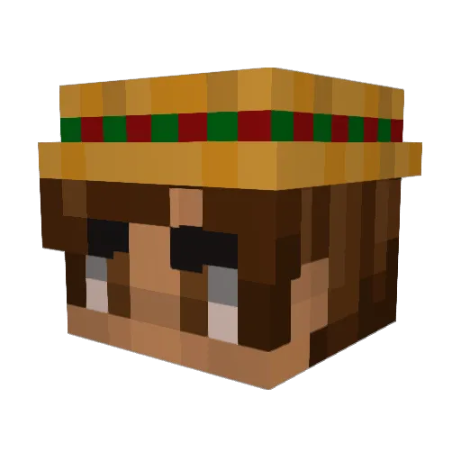 Roob1n Minecraft avatar head, 3D render