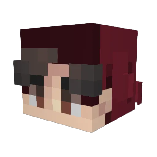 RoobarbBoy Minecraft avatar head, 3D render