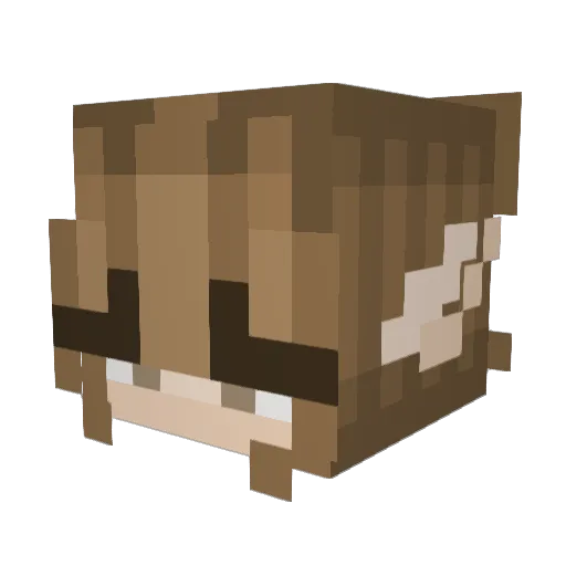 Roobski2006 Minecraft avatar head, 3D render