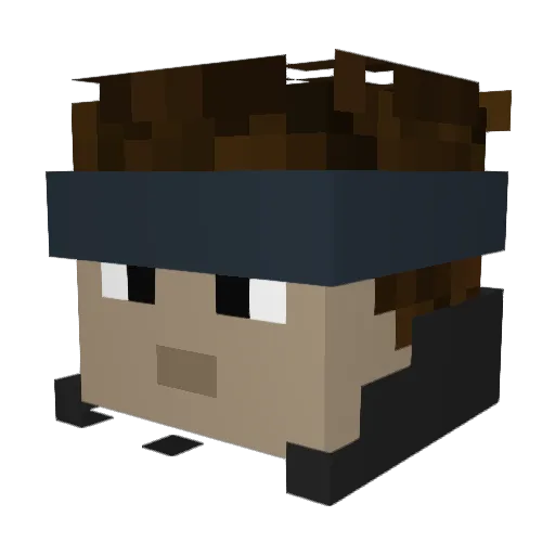 Roobskin Minecraft avatar head, 3D render
