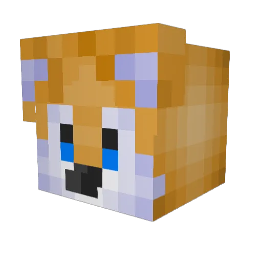 Roocul2 Minecraft avatar head, 3D render